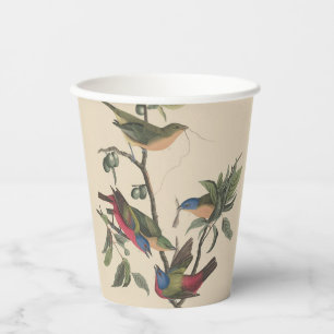 Gobelets En Papier Peinture vintage d'Audubon du Passerin nonpareil,