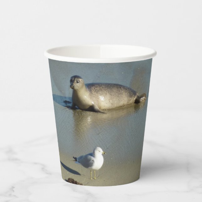 Gobelets En Papier Phoque du port à La Jolla en Californie (Gauche)