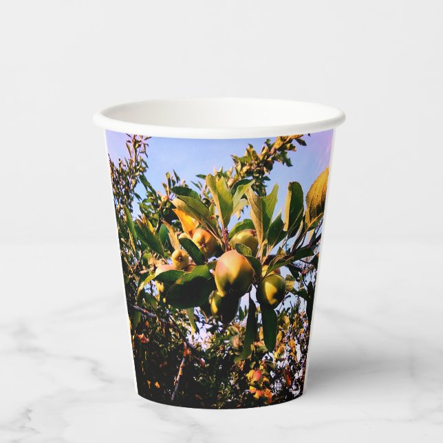 Gobelets En Papier Pommes (Recto)
