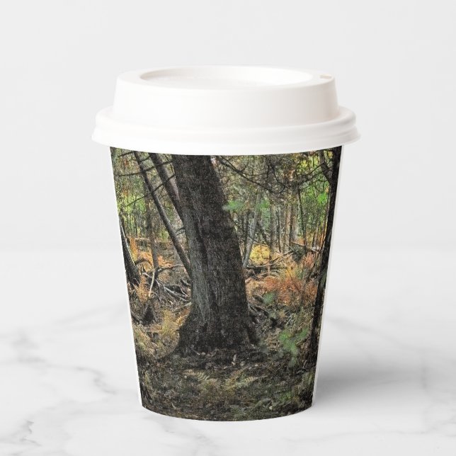Gobelets En Papier Scène de forêt automnale               (Recto)