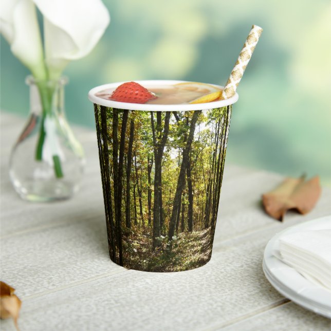 Gobelets En Papier Sentier des Appalaches en octobre à Shenandoah (Insitu)