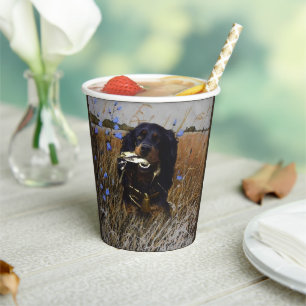 Gobelets En Papier Setter Gordon