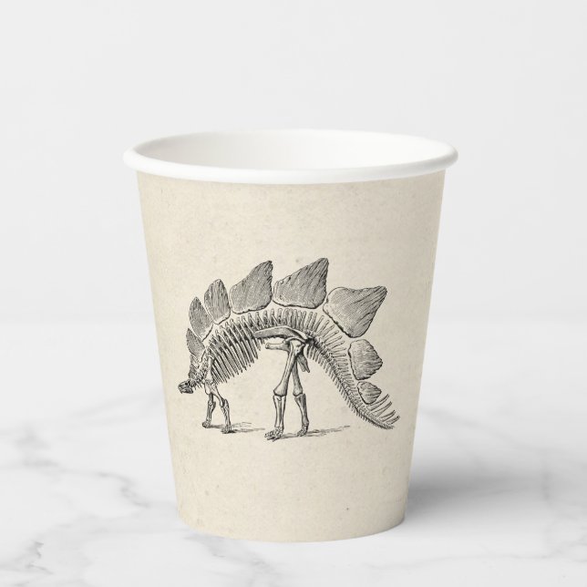 Gobelets En Papier Stegosaurus Dinosaure Squelette Fossile (Recto)