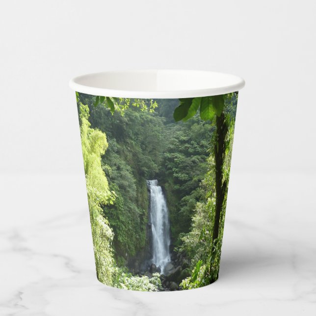 Gobelets En Papier Trafalgar Falls Tropical Rainforest Photographie (Gauche)
