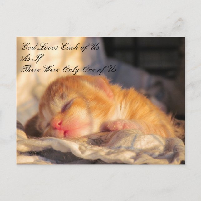 God Love Us Carte postale avec Kitten Photo (Devant)