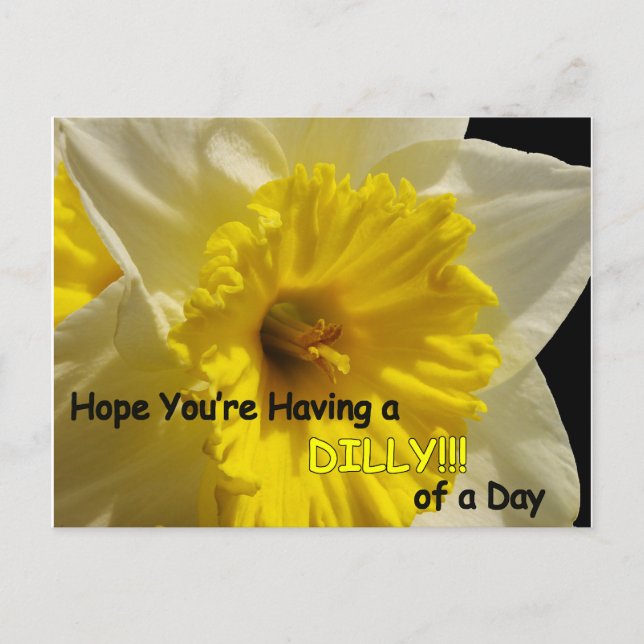 gode daffy d'une carte postale de jour (Devant)