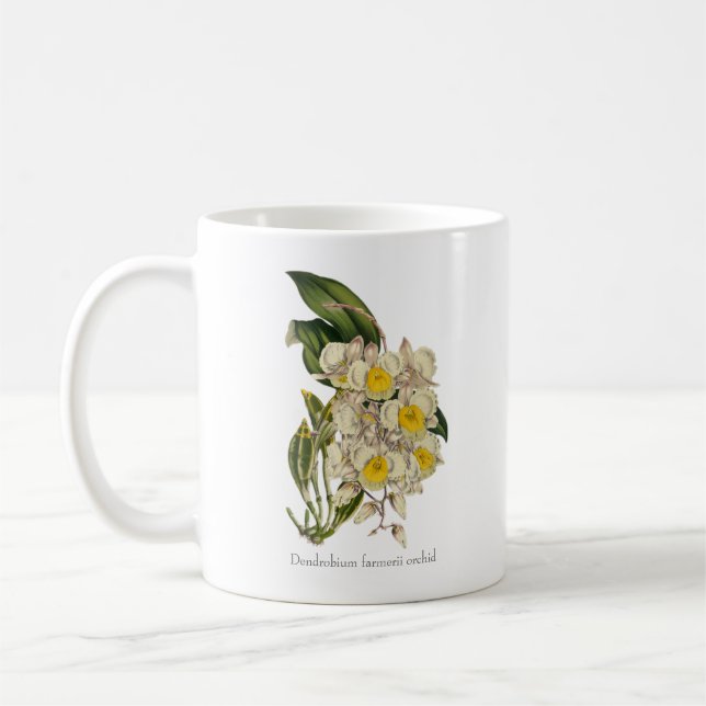 Golden Cascades : Dendrobium fererii Orchid Mug (Gauche)