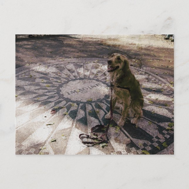 Golden in Strawberry Fields aka "Imagine" Carte po (Devant)