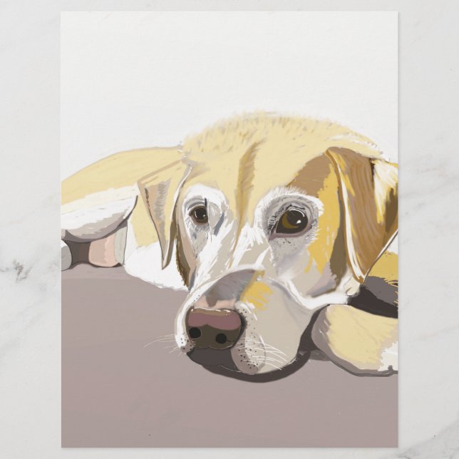 Golden Labrador (Devant)