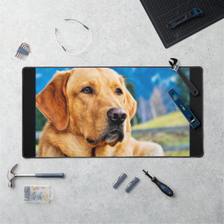 Golden Labrador Retriever