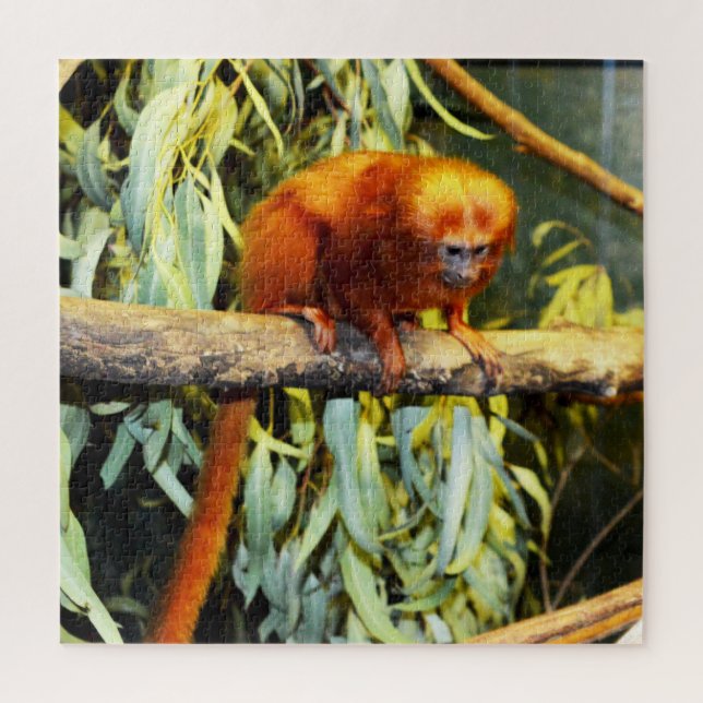 Golden Lion Tamarin Observant, Jigsaw Puzzle (Vertical)