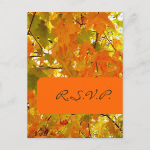 Golden Maple, cartes postales RSVP, pour les invit