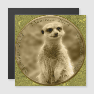Golden Meerkat 2022 Pièce, Carte magnétique
