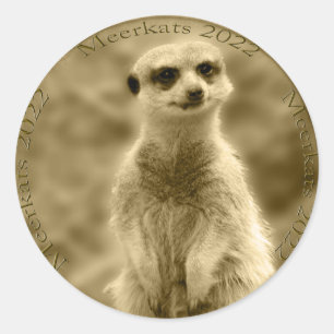 Golden Meerkat 2022 Pièce, Stickers ronds