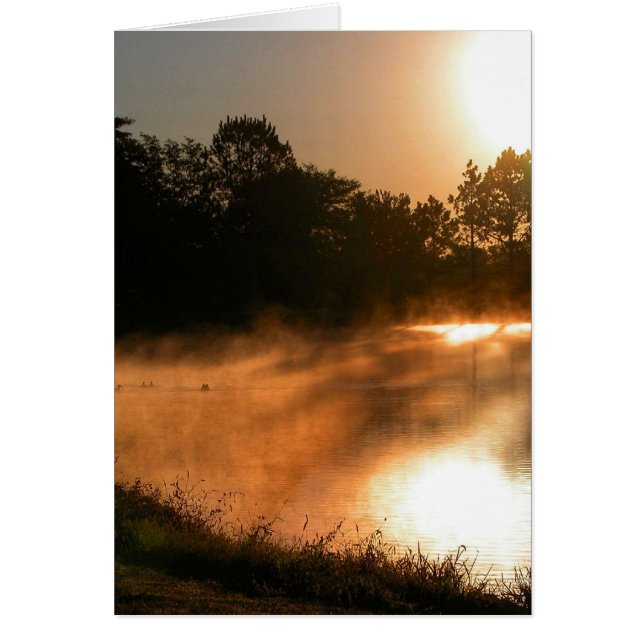 Golden Pond (Devant)