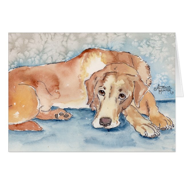 Golden retriever (Devant horizontal)