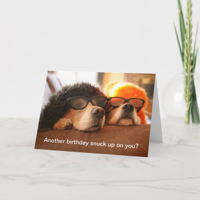 Golden Retriever Autre carte de voeux anniversaire (Devant)