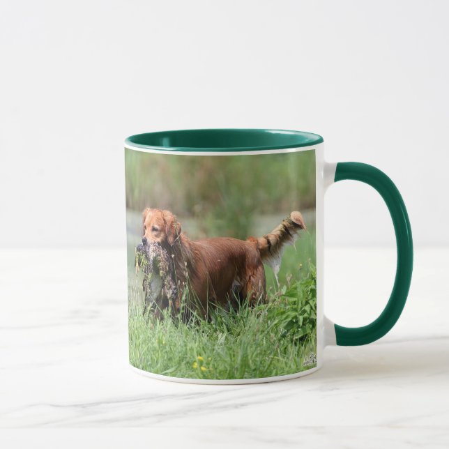 Golden retriever avec la tasse de canard (Droite)