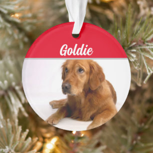 Golden Retriever avec nom et photo Noël