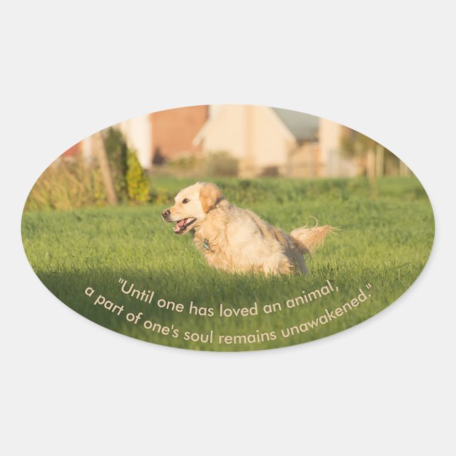 Golden Retriever avec un autocollant ovale (Devant)