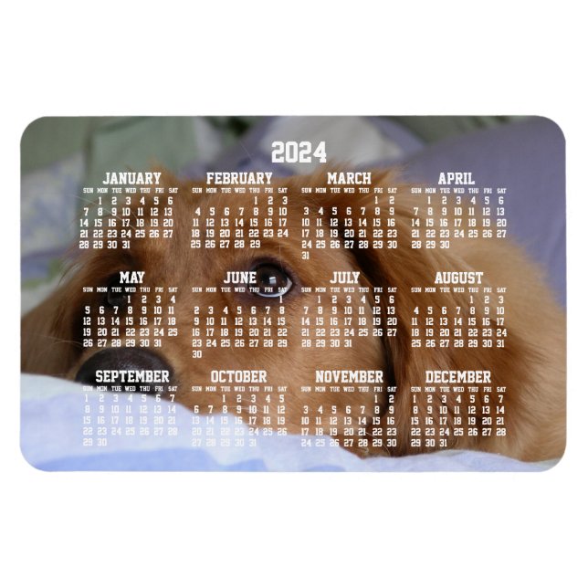 Golden Retriever Calendar 2024 Grand Magnet photo (Horizontal)