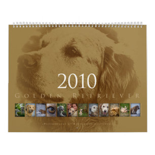 Golden retriever - calendrier mural 2010