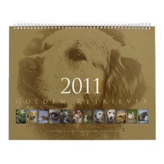 Golden retriever - calendrier mural 2011