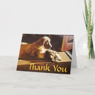 Golden Retriever Carte de remerciements Chat Best
