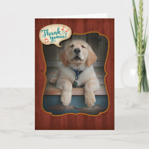 Golden Retriever chanter brille la Carte de remerc