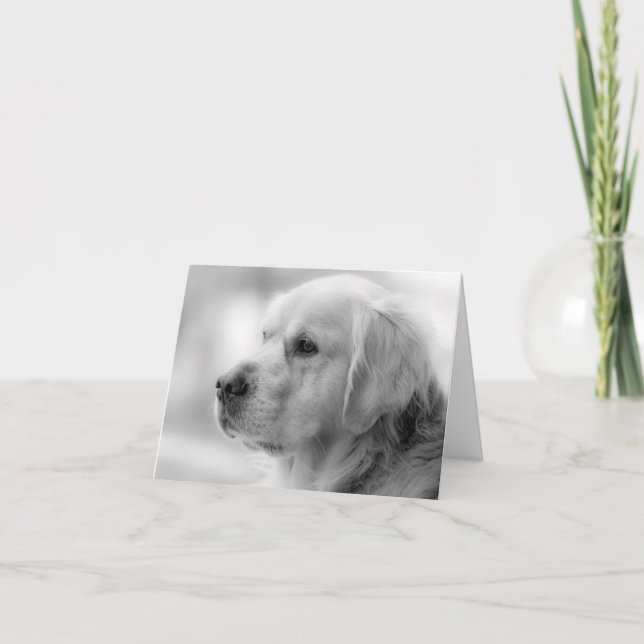 Golden Retriever Chien Chien blanc Carte pour note (Devant)