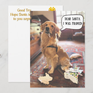 Golden Retriever en difficulté avec le Père Noël d