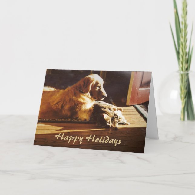 Golden retriever et carte de Noël de chat (Devant)