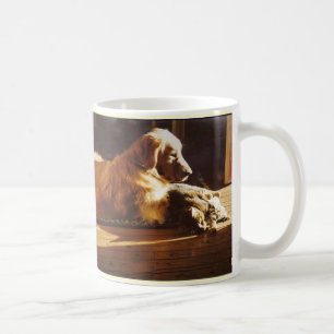 Golden retriever et tasse de maman de chat
