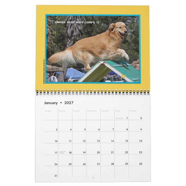 Golden Retriever "Goldens Rule" Calendrier de 12 m (Jan 2027)