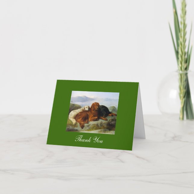 Golden Retriever, Irish & Gordon Setter Merci (Devant)
