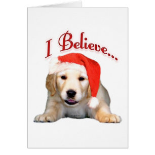 Golden Retriever Je crois