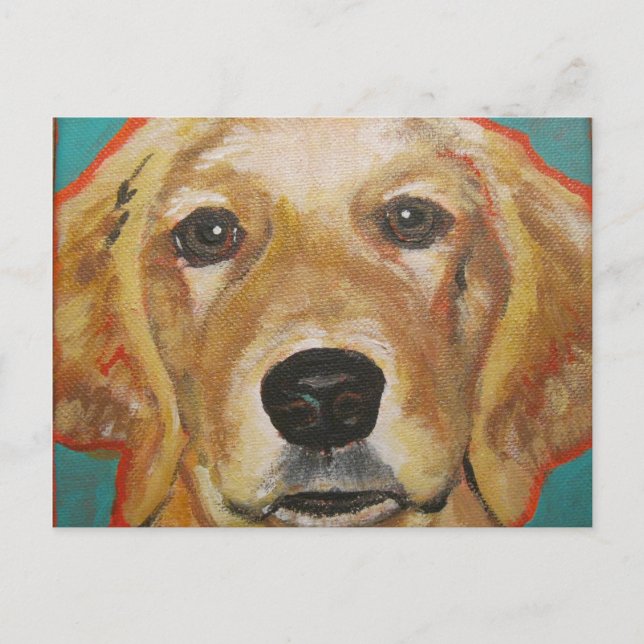 Golden Retriever - "Maddie" - Carte postale (Devant)