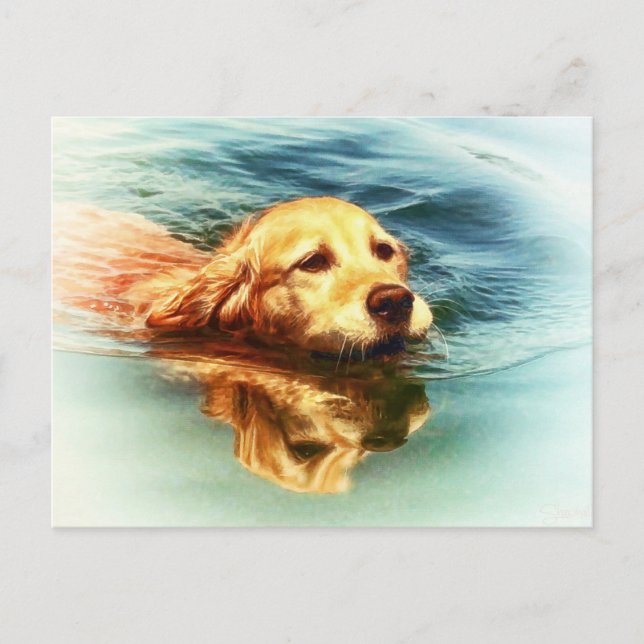 Golden Retriever nage - Chien Art carte postale (Devant)