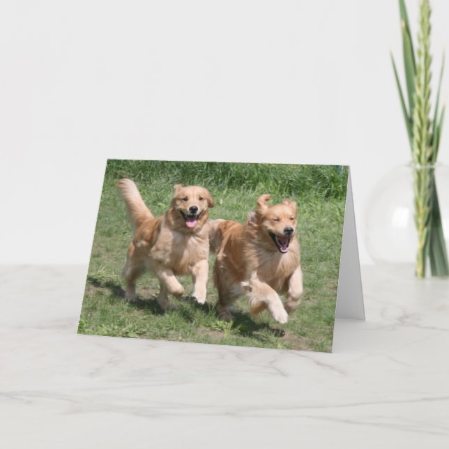 Golden Retriever Où est la fête ? Carte (Devant)