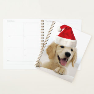 Golden Retriever Puppy Christmas