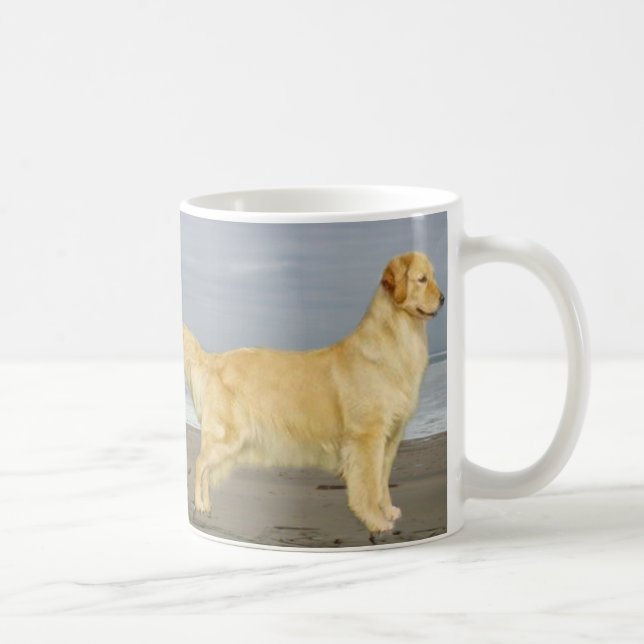 Golden retriever sur la tasse de plage (Droite)