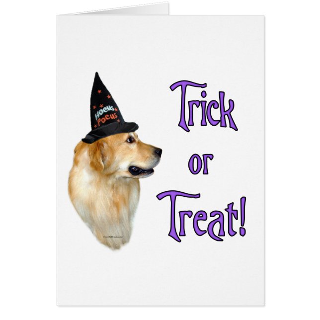 Golden Retriever Trick (Devant)