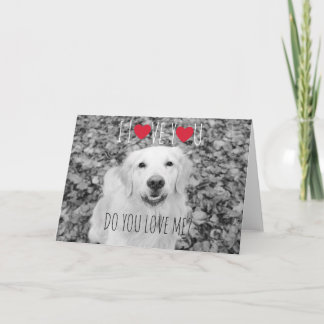 Golden retriever VALENTINE'S DAY Carte de voeux