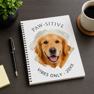 Golden Retriever Vibes positives photo 2027