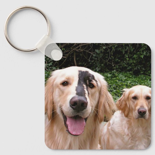 Golden Retrievers Peter Fox et porte-clés Maman (Recto)