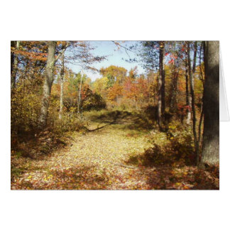 Golden Trail