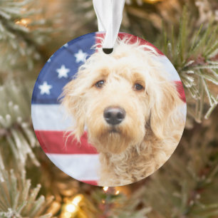 Goldendoodle avec drapeau américain
