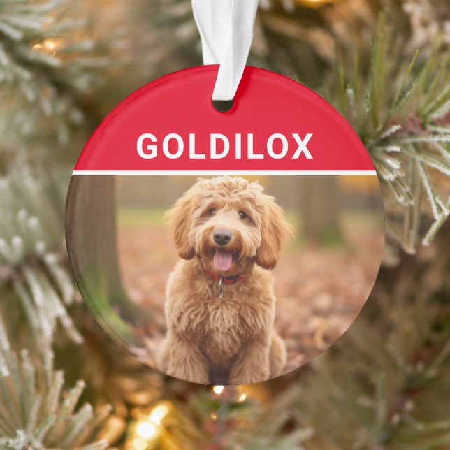 Goldendoodle avec le nom du chien Photo Noël (Arbre)