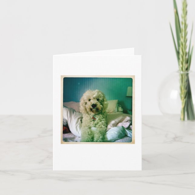 Goldendoodle Carte pour notes mignon (Devant)