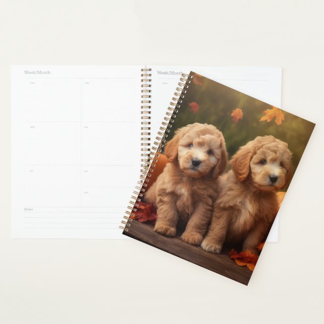 Goldendoodle Chiot Automne Citrouille délice (Devant avec enveloppe)